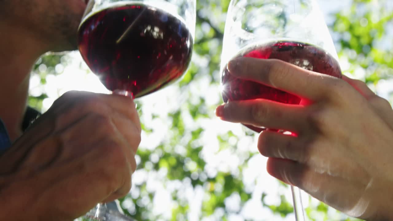 primer plano de una pareja brindando copas de vino tinto en el parque