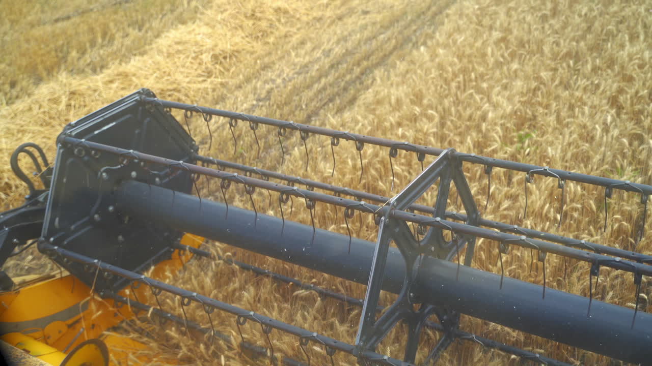 Combine mower mechanism harvesting wheat. Harvester drives through field of wheat, cutting yellow stalks