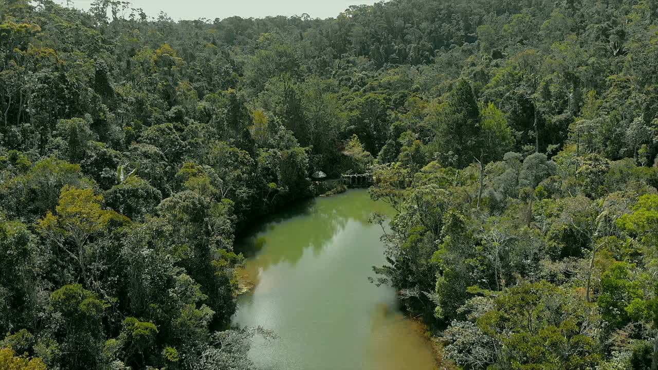antena: río en medio de la selva tropical en madagascar
