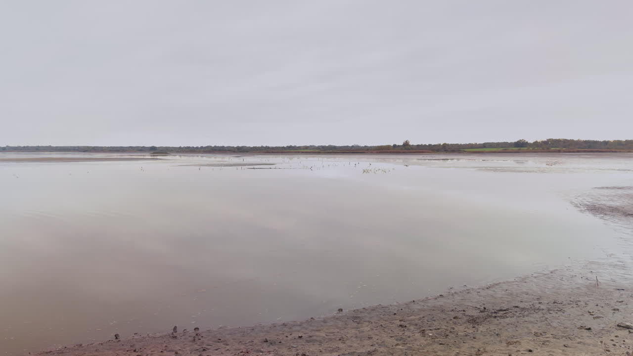 Calm lake landscape with birds and overcast sky