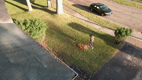 an individual raking leaves into a pile
