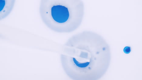 macro top shot of a white liquid with blue paint spots