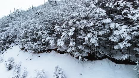 Vista-Aérea-Del-Bosque-Cubierto-De-Nieve-En-Las-Montañas-Patagónicas