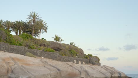 Costa-De-Piedra-De-Tenerife-Con-Pared-De-Roca-En-La-Parte-Superior-Y-Palmeras,-Vista-Inclinada-Hacia-Arriba