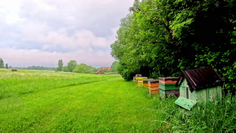 timelapse view of row of beehive boxes on edge of green farming field