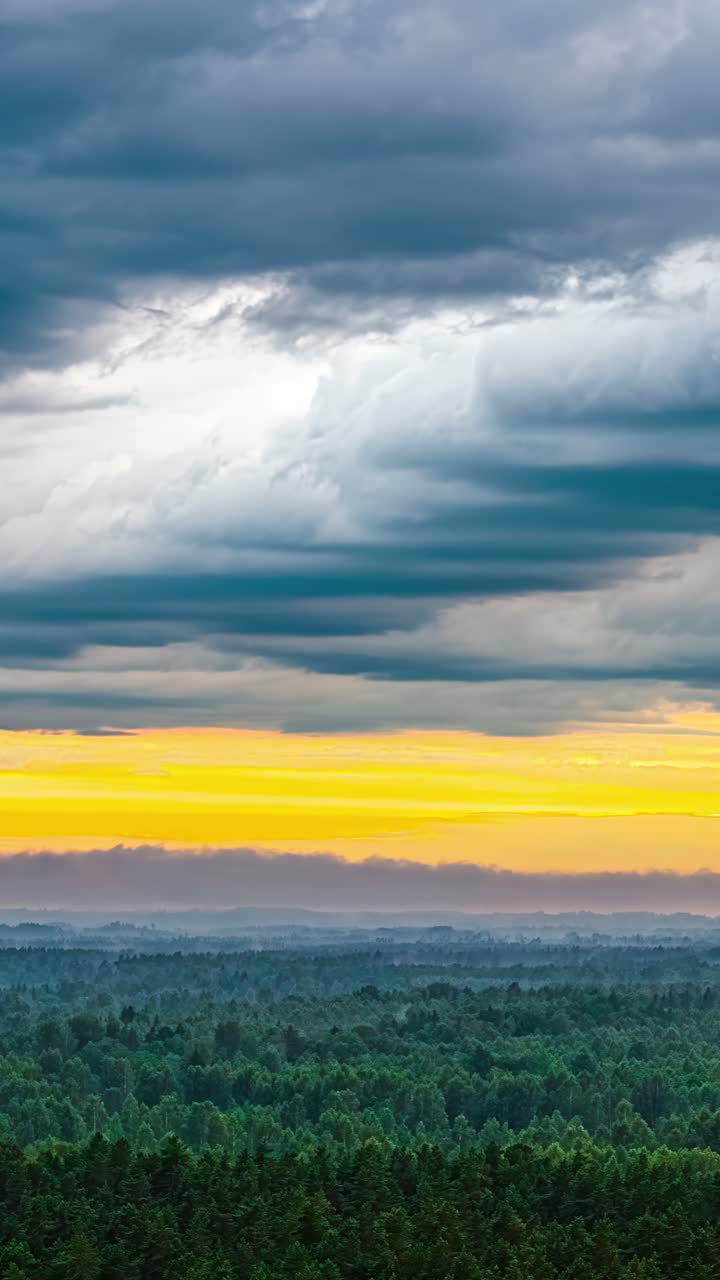 Storm clouds over forest at sunset with golden orange red glow on horizon, fog breathing mist tendrils rise from trees, vertical timelapse