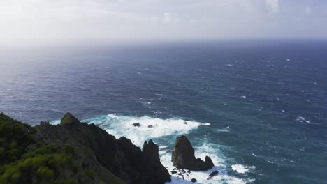 drone footage of endemic vegetation revealing dramatic cliffs and rock formations and the atlantic ocean in the background in sao jorge island, azores, portugal