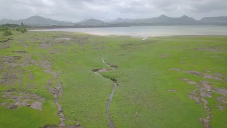 Wasser-Strömt-Während-Des-Monsuns-Durch-Das-üppige-Feld-In-Trimbakeshwar,-Indien-–-Breiter-Drohnenschuss