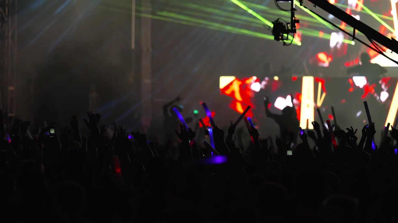 Una folla balla con entusiasmo durante uno spettacolo di musica dance elettronica