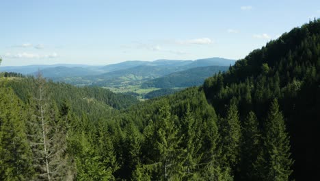 drone reveal of a green valley among forested mountains