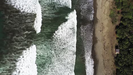 top down aerial view of tropical beach and turquoise ocean waves