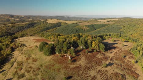 Aerial-arc-shot-of-tree-forest-with-big-stones-inside