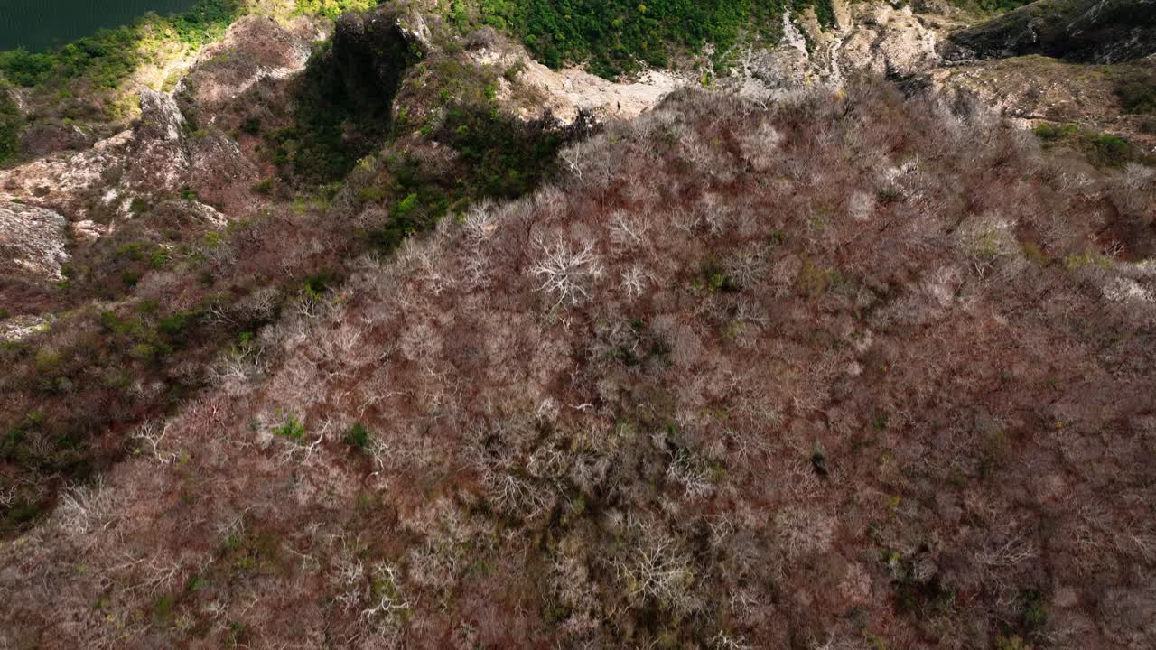 antena - río grijalva en el cañón del sumidero, chiapas, méxico, amplia revelación de arriba hacia abajo