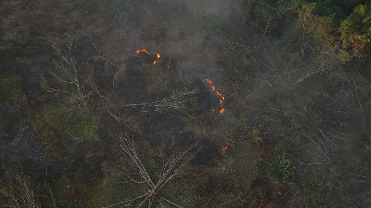 Ripresa aerea rotante di un incendio boschivo nella giungla amazzonica in Colombia