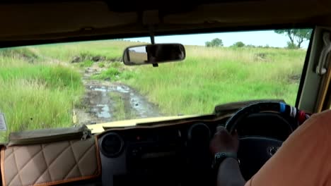 pov shot as approaching a river crossing with a jeep, bumpy safari road from the backseat