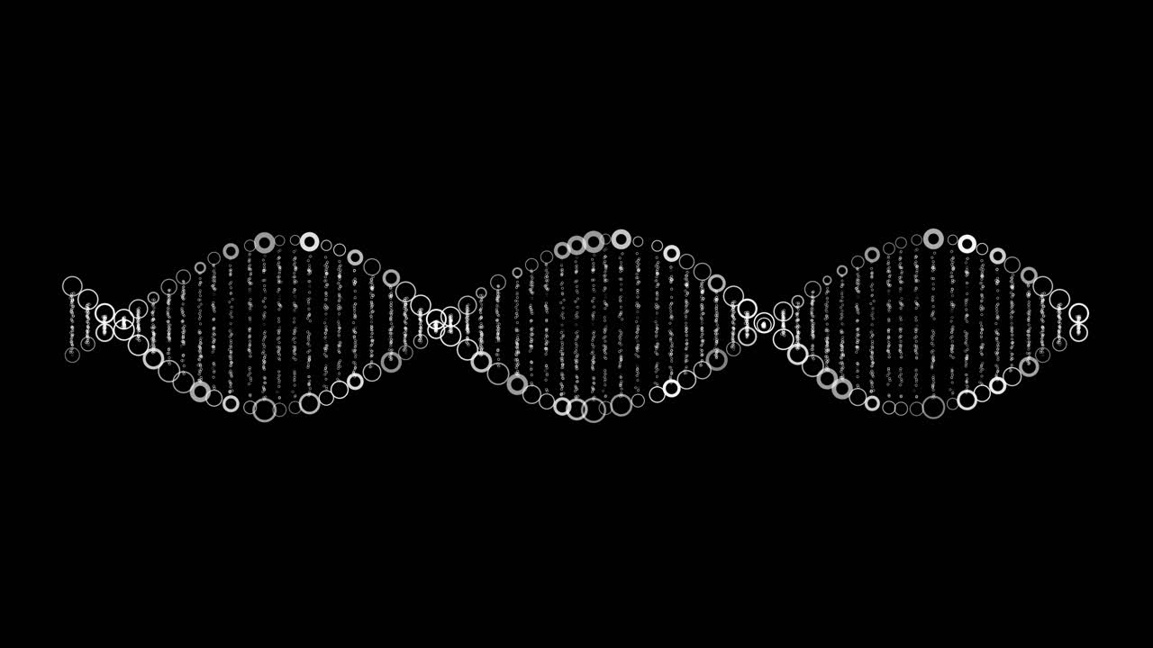 Digital Animation of Rotating DNA Double Helix