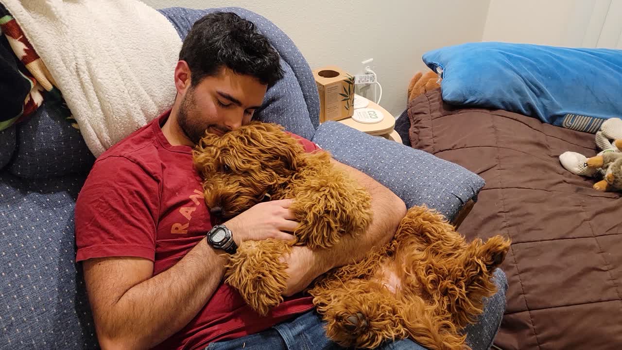 Un uomo coccola un cane soffice mentre si rilassa su una comoda poltrona al chiuso, catturando un momento di calda compagnia animale con legame affettuoso, comfort e uno stile di vita domestico casual