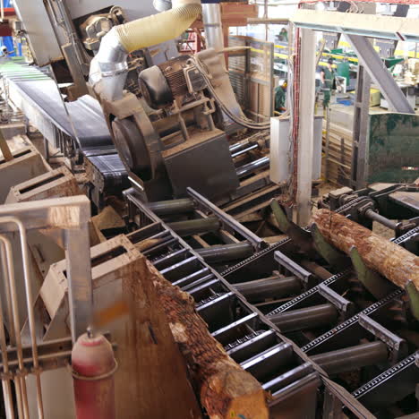 forest product industries. sawmill. process of machining logs in a machine, heavy industry equipment. closeup. view from the top. wood industry facilities.