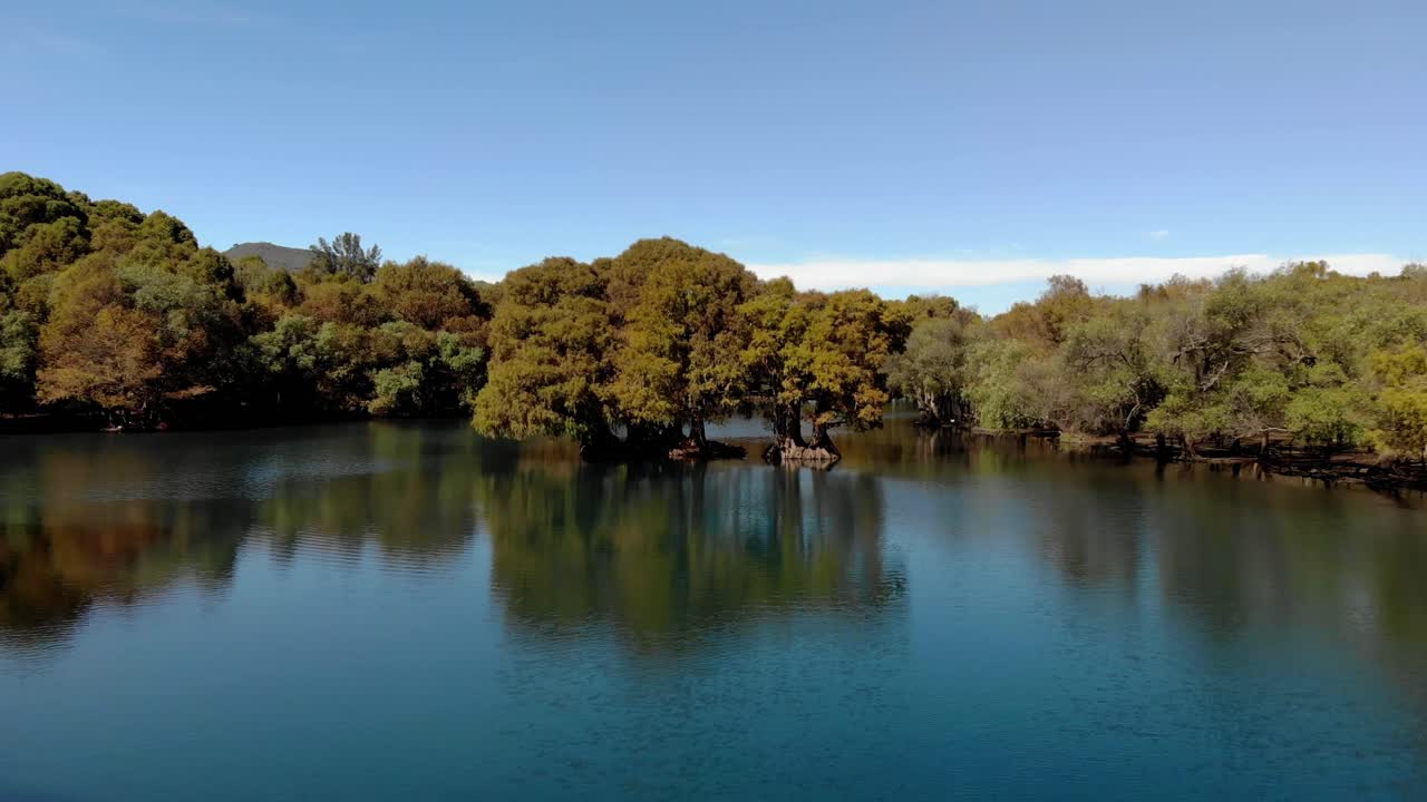 Serene Lake with Lush Trees and Mountain Views
