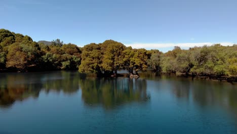serene lake with lush trees and mountain views