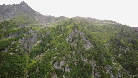 Vista-De-Una-Fachada-De-Montaña-Cubierta-De-Abeto