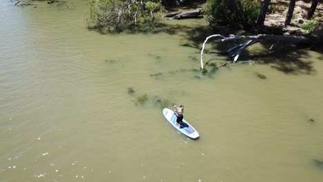 Dron-Aéreo-Sobre-El-Río-Con-Una-Mujer-Usando-Una-Tabla-De-Remo