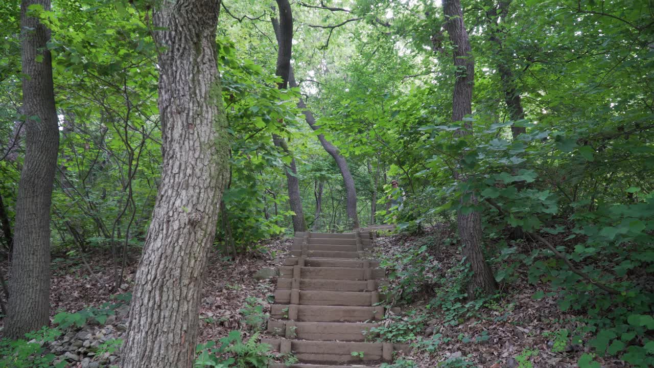 европейский турист спускается по деревянной лестнице по тропинке, лес свободный фон широкий угол