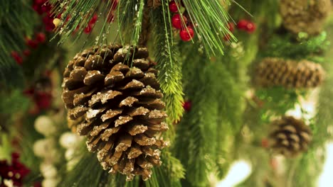 pine cone on a branch with rowan. close up