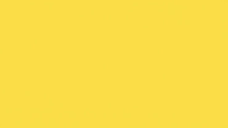 Abstract Yellow and Black Color Transition with Light Leaks