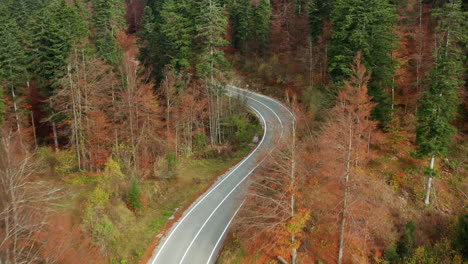 Birds-eye-follow-shot-of-a-car-driving-through-the-Croatian-countryside