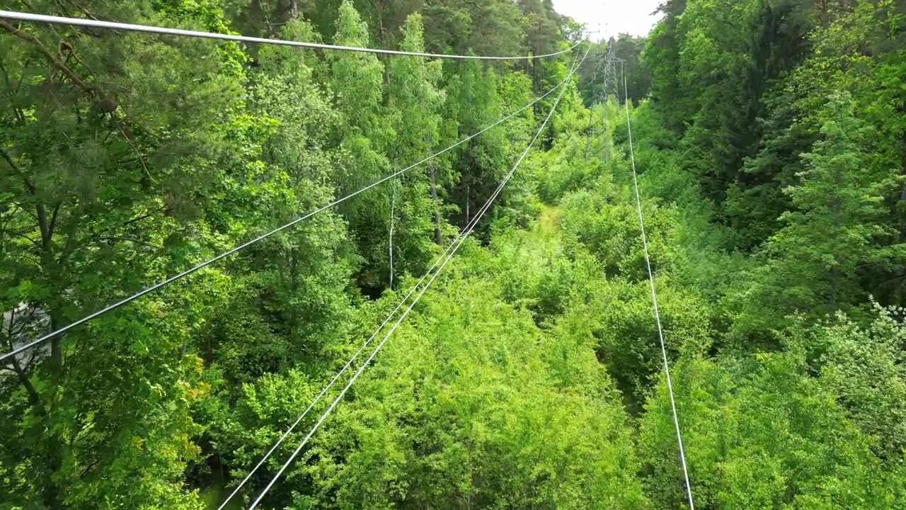 Let dronu skrz vysokonapěťové elektrické vedení v lese.