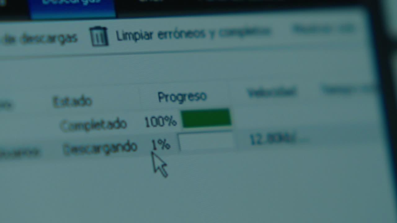 Computer Screen Showing Download Progress