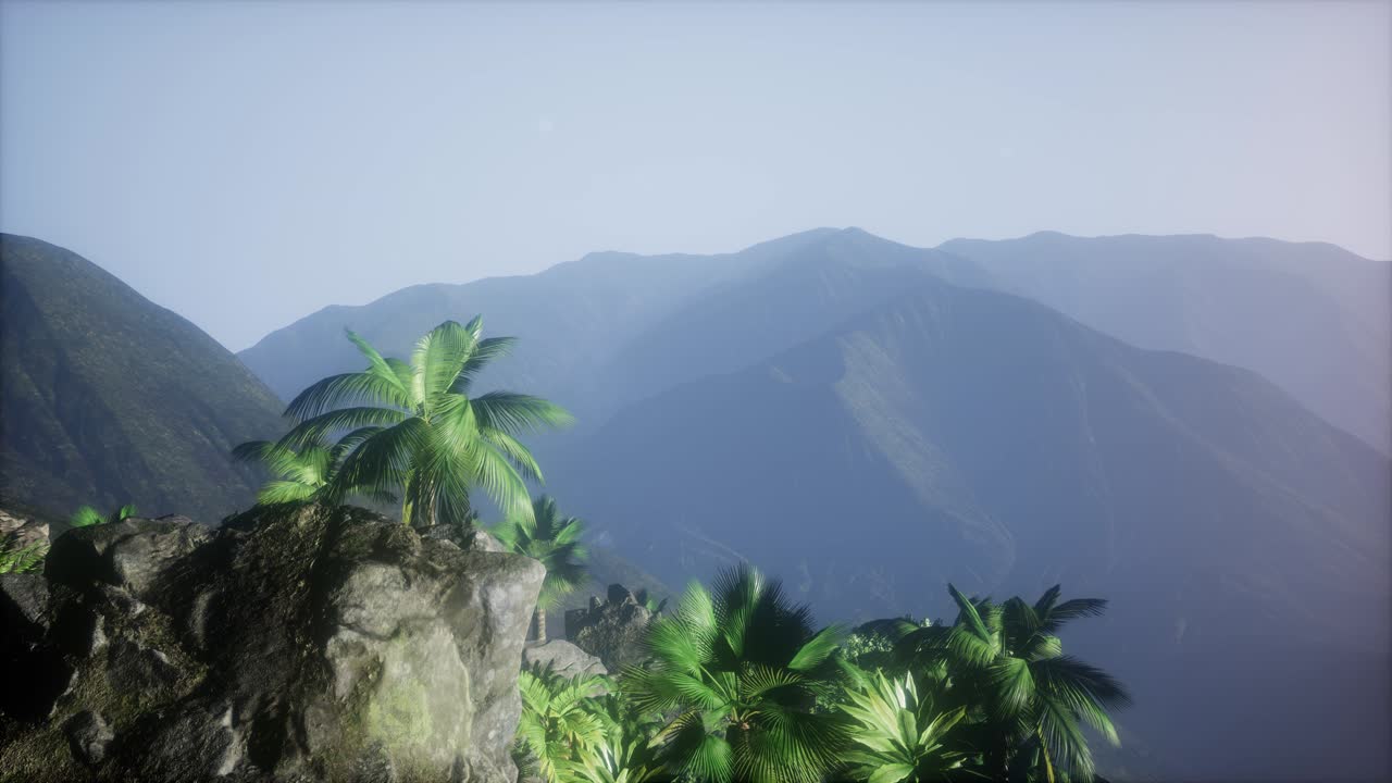 Sunset Beams through Palm Trees