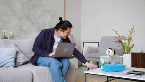 Man-working-with-pets