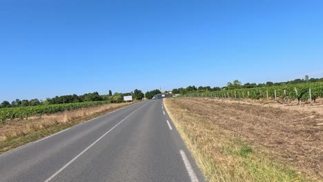 roadside view of vineyards under clear blue sky