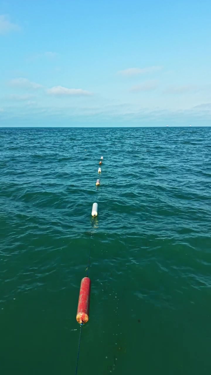 Longa fila de boias flutua na superfície do oceano com céu azul claro acima e o horizonte ao longe durante o dia.