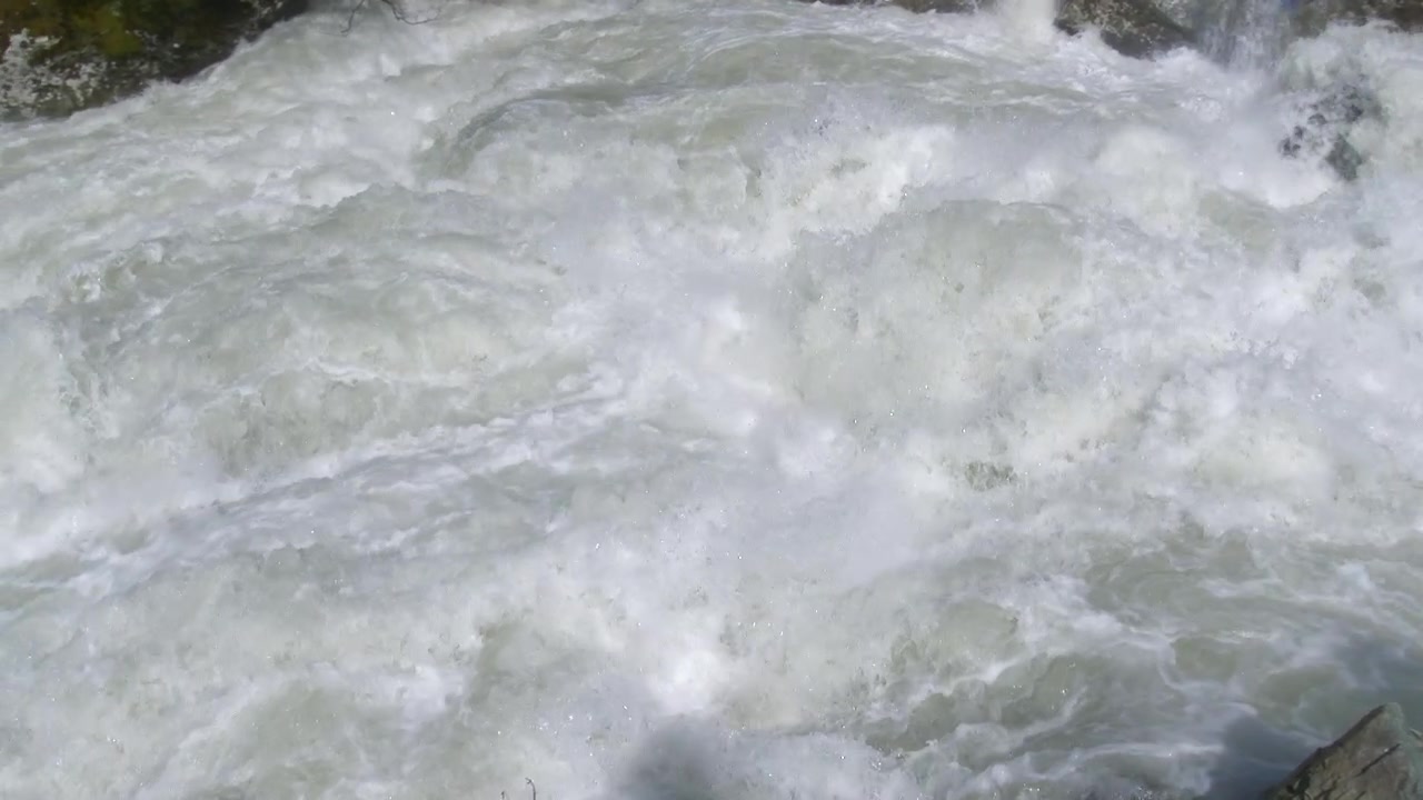 Acqua impetuosa di fiume che scorre sulle rocce nella foresta