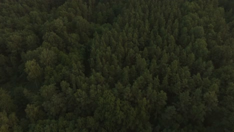 Dramatic-and-epic-drone-shot-of-the-woods-and-fields-with-mountains-in-the-background-bird-view,-during-a-sunset-or-a-sunrise-dusk-or-dawn