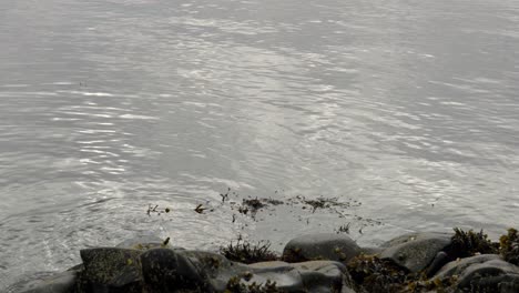 light dances off of the surface of an oily black, reflective ocean which laps against the rocky shore with gentle waves and ripples