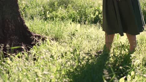 alegría en la escena de la naturaleza de la chica en falda larga caminando en la hierba hasta el árbol