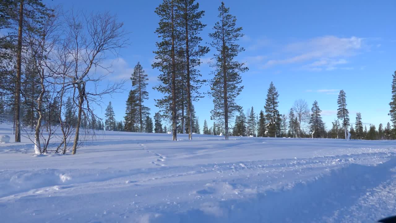 point of view shot from a sledge sliding through a snowy landscape in Lapland during a nice sunny day.