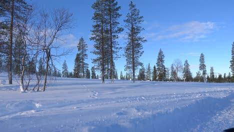 point of view shot from a sledge sliding through a snowy landscape in Lapland during a nice sunny day.