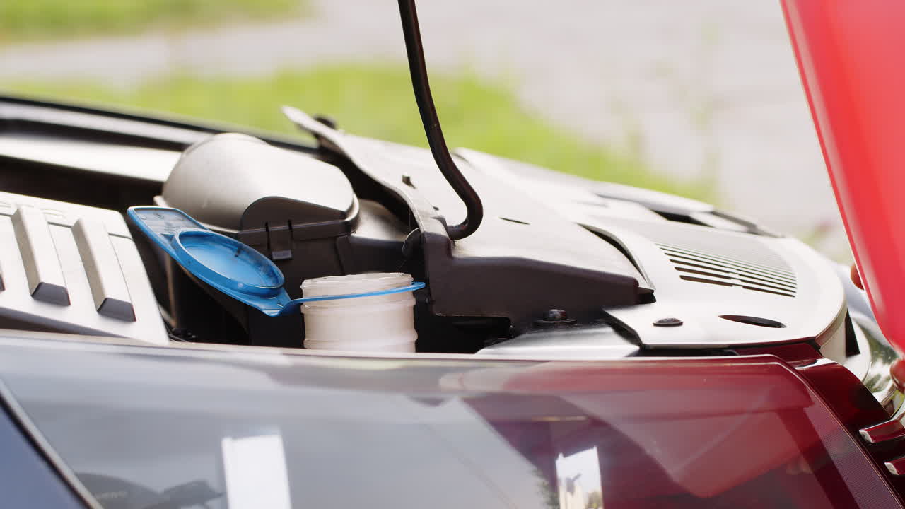 서비스 노동자 남자 붓는 자동차 유동체 앞유리 유리 빨간 세탁기 유리 청소기 여름 겨울 액체