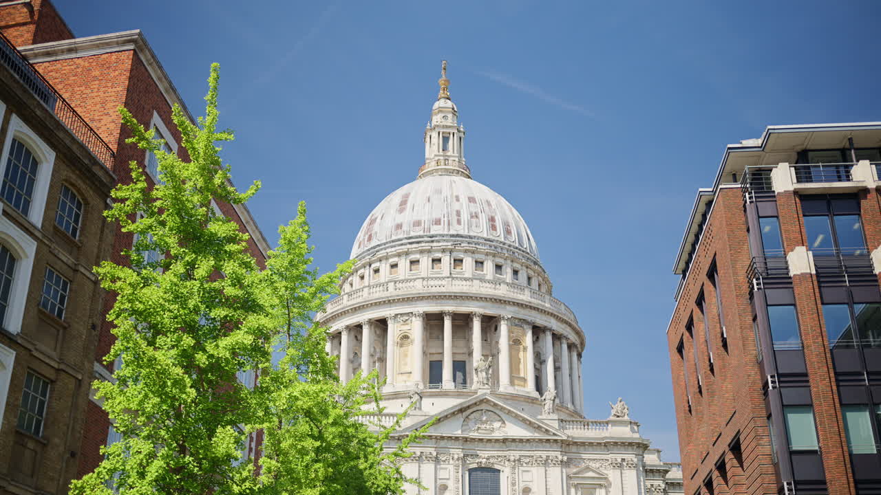 The Dome of St. Paul's Cathedral rising above the trees with a clear blue sky in the background in London, England