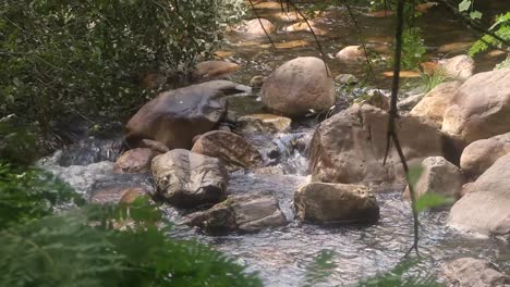 Cascada-Río-Corriente-Interior-Bosque