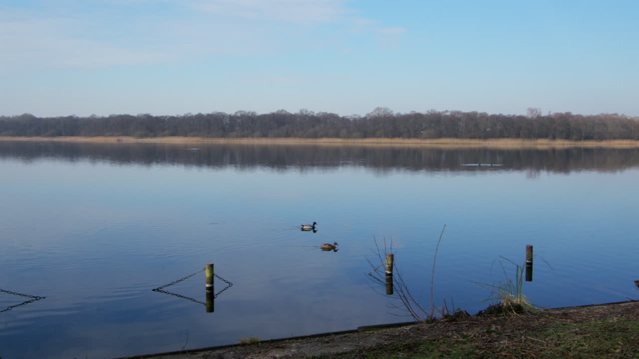 Panning extra Wide shot of Rollesby Broad taken from the A149 at Ormesby St Margaret