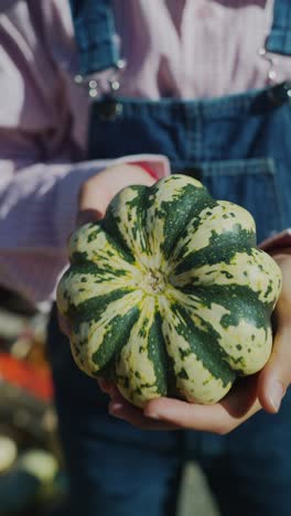 person holding a decorative pumpkin