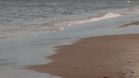 Close-up-waves-near-the-sea-shore-on-an-boring-sunset-in-an-autumn-day-with-a-cold-and-chilly-weather-hitting-the-shore