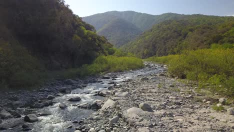 beautiful landscape in the mountain jungle in northwest argentina