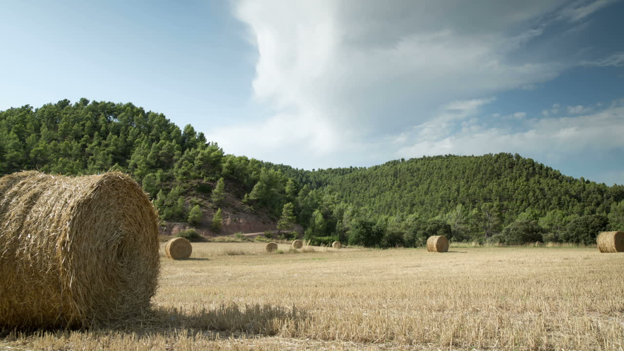 campo de cosecha timelapse 03